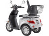 Dreirad Luxxon E3800 hinten